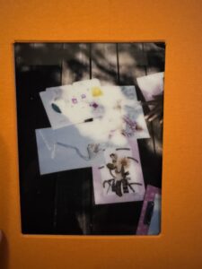 Proyectos img 4073